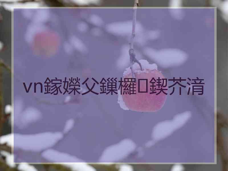 vn鎵嬫父鏁欏鍥芥湇