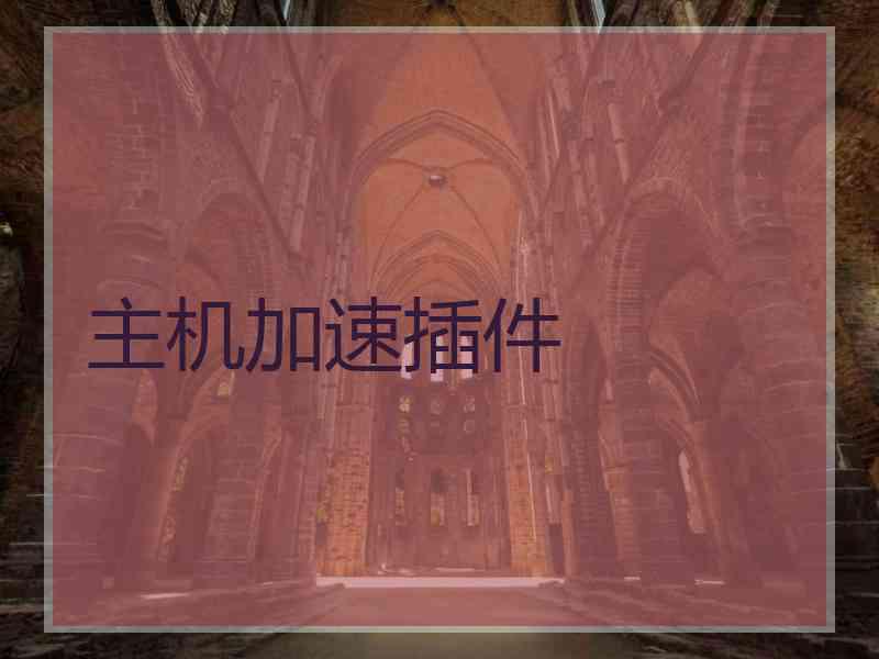 主机加速插件