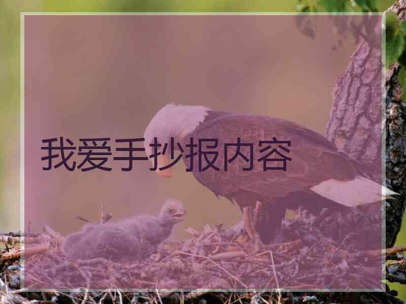我爱手抄报内容