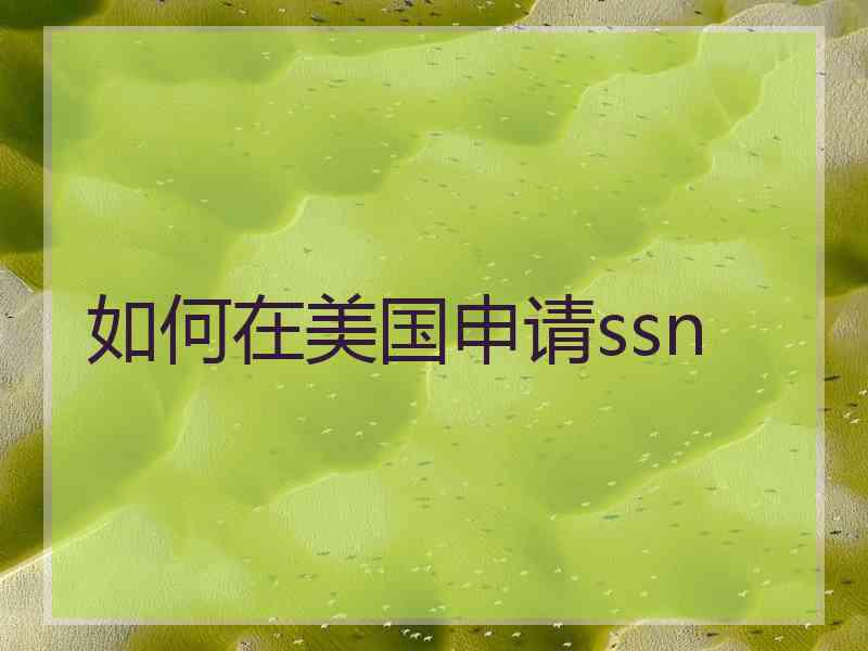 如何在美国申请ssn