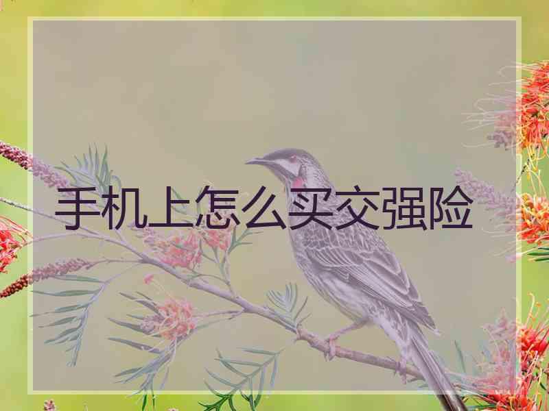 手机上怎么买交强险