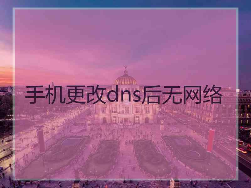 手机更改dns后无网络