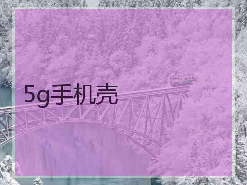 5g手机壳