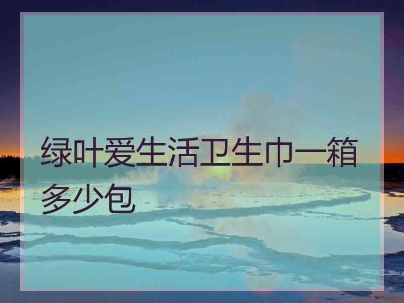 绿叶爱生活卫生巾一箱多少包