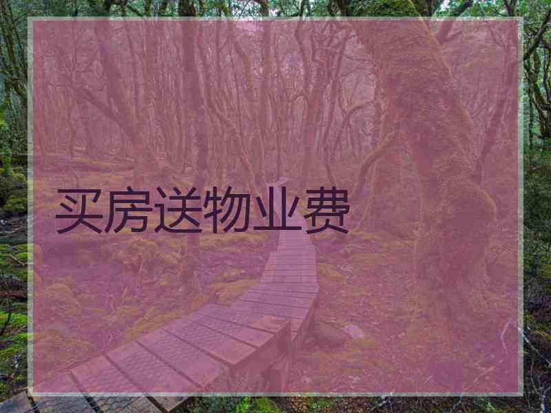 买房送物业费