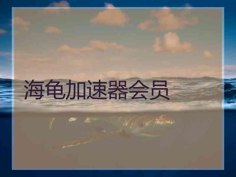 海龟加速器会员