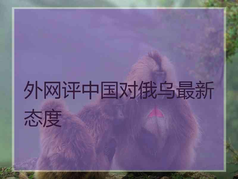 外网评中国对俄乌最新态度