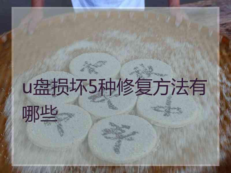 u盘损坏5种修复方法有哪些