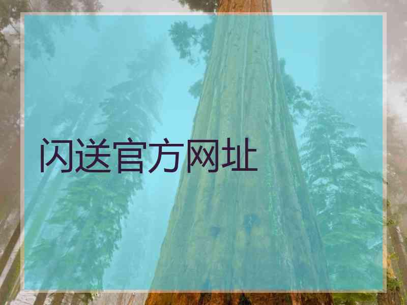 闪送官方网址