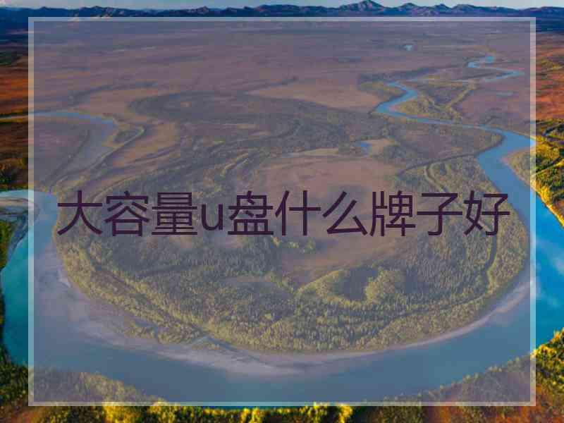 大容量u盘什么牌子好