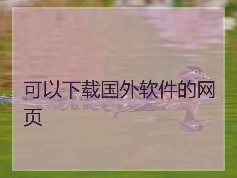 可以下载国外软件的网页