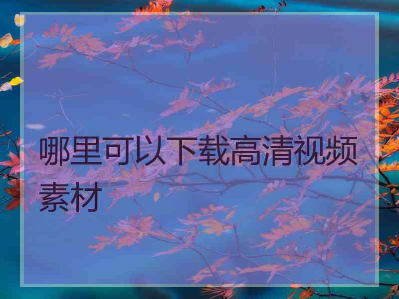 哪里可以下载高清视频素材