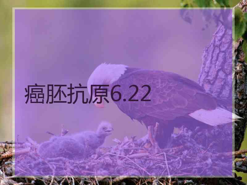 癌胚抗原6.22