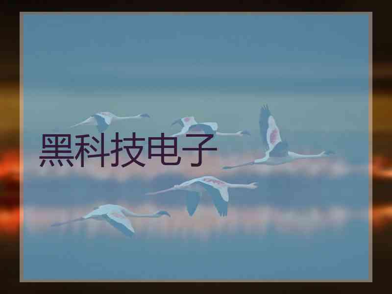 黑科技电子