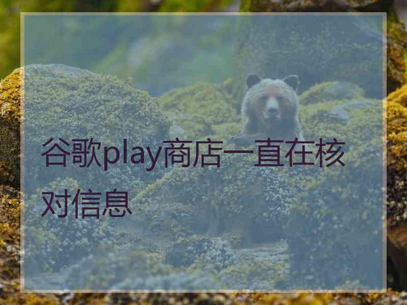 谷歌play商店一直在核对信息