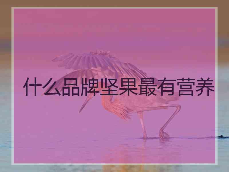 什么品牌坚果最有营养