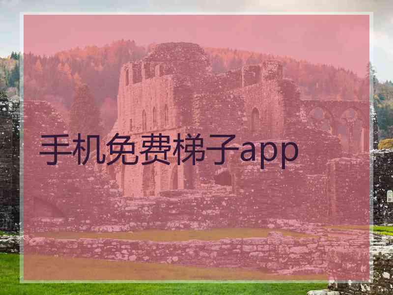 手机免费梯子app