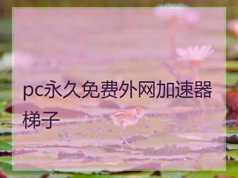 pc永久免费外网加速器梯子