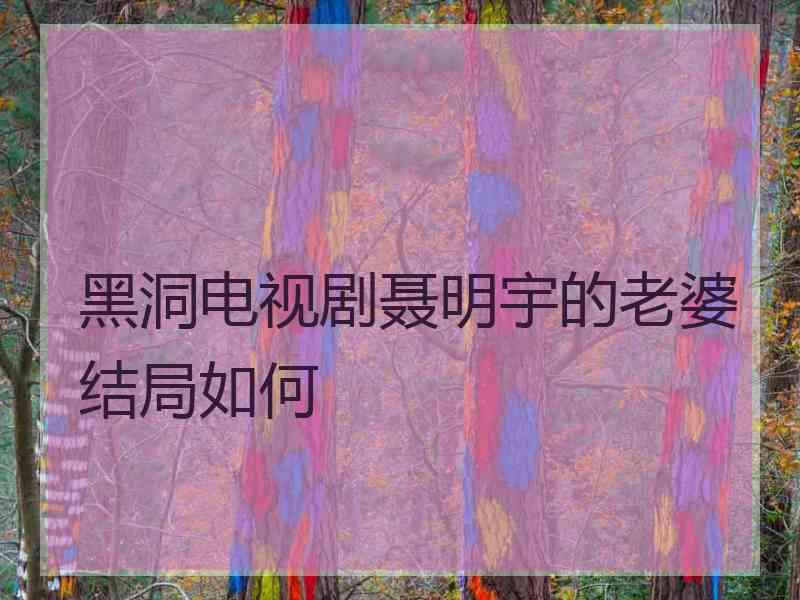 黑洞电视剧聂明宇的老婆结局如何