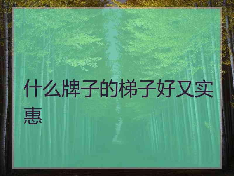 什么牌子的梯子好又实惠