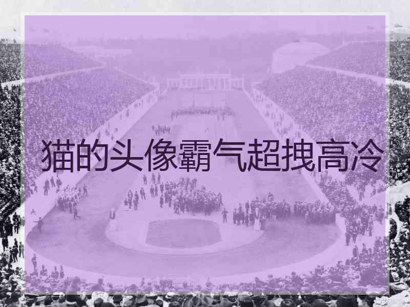 猫的头像霸气超拽高冷