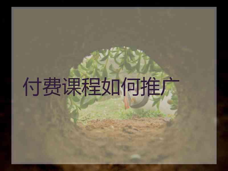 付费课程如何推广