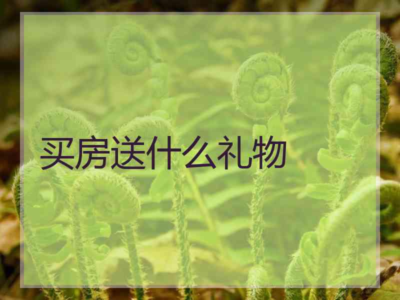 买房送什么礼物
