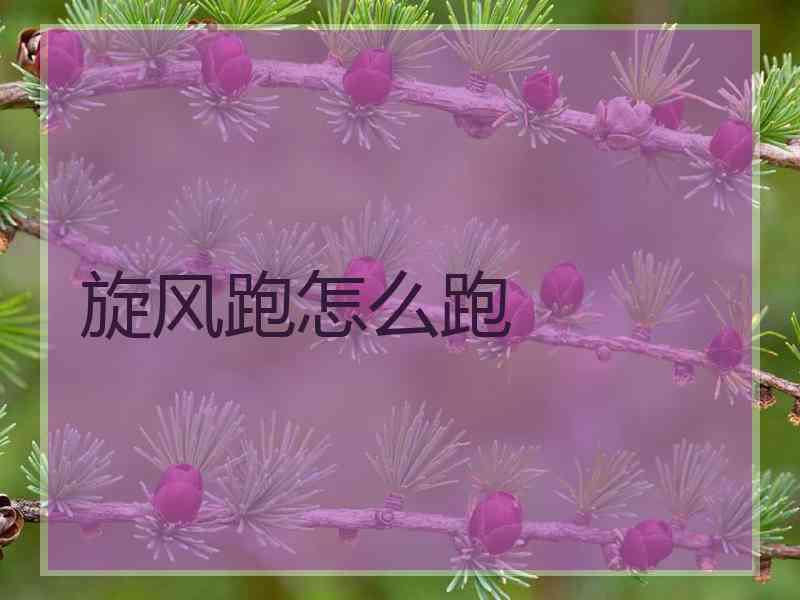 旋风跑怎么跑