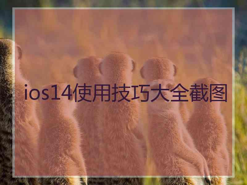 ios14使用技巧大全截图