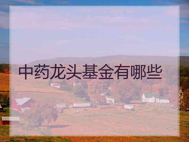 中药龙头基金有哪些