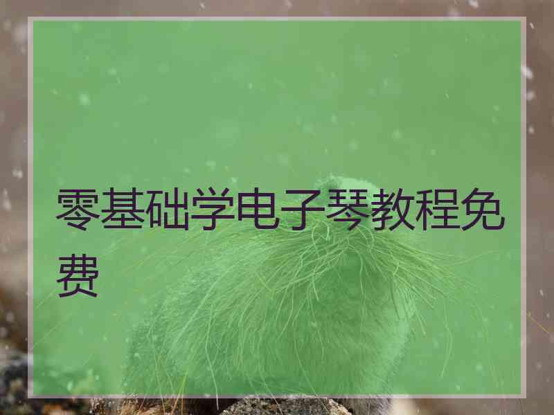 零基础学电子琴教程免费