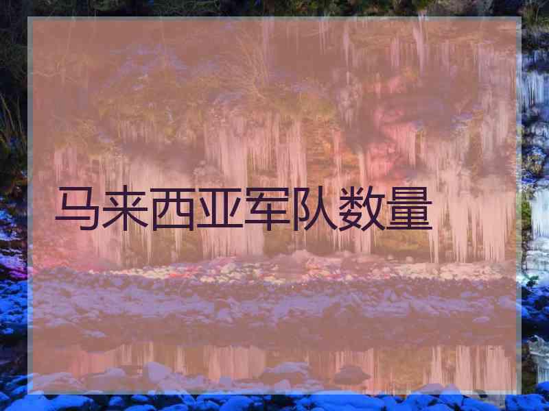 马来西亚军队数量