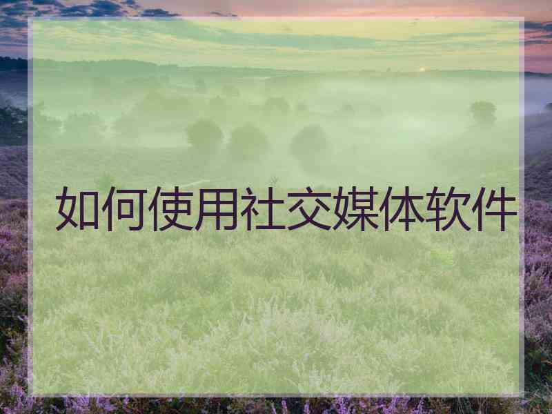 如何使用社交媒体软件