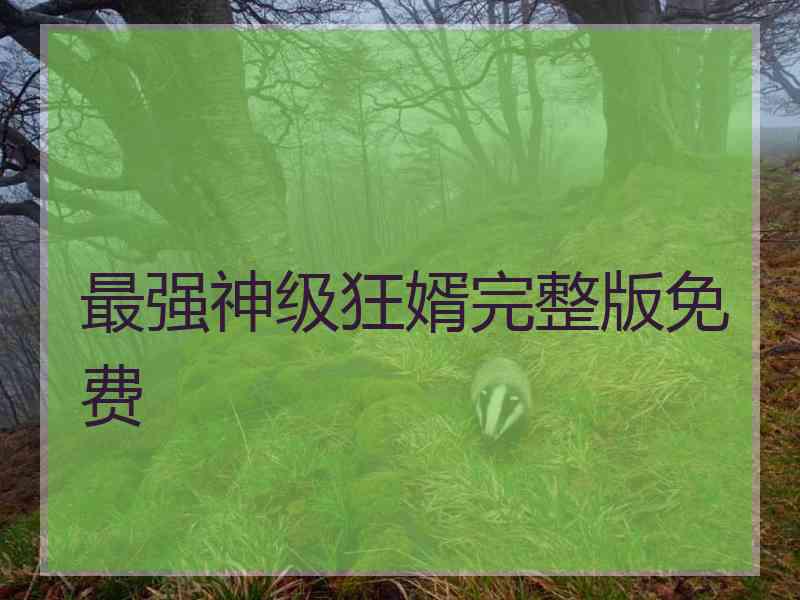最强神级狂婿完整版免费