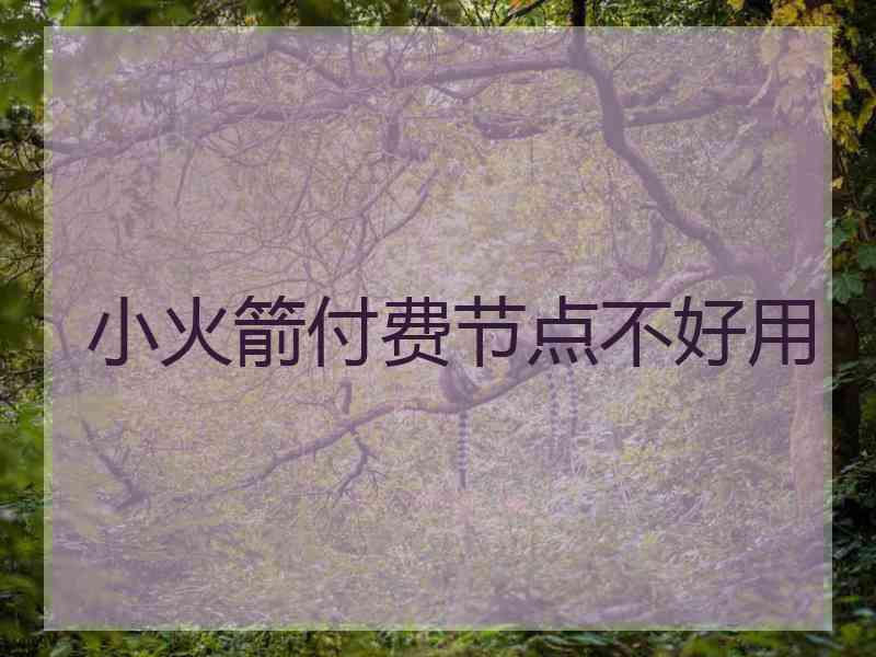 小火箭付费节点不好用