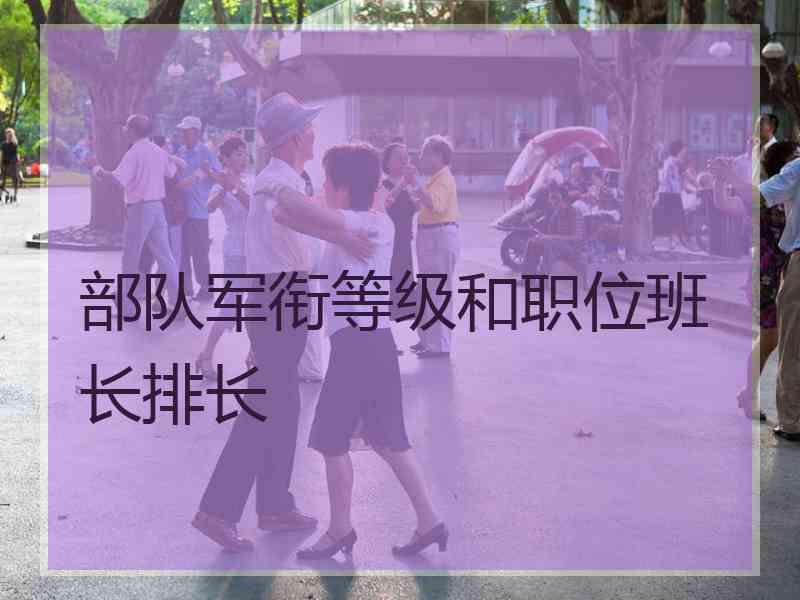 部队军衔等级和职位班长排长