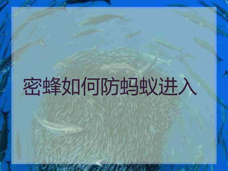 密蜂如何防蚂蚁进入