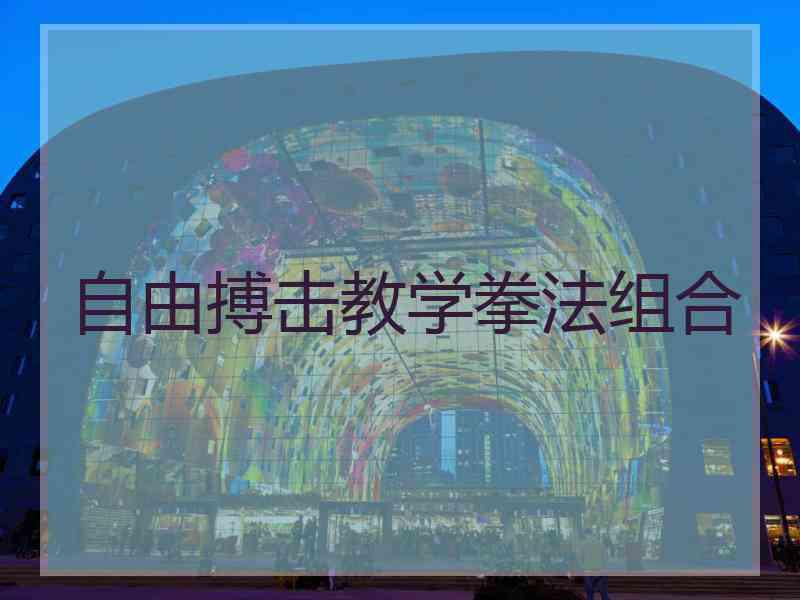 自由搏击教学拳法组合