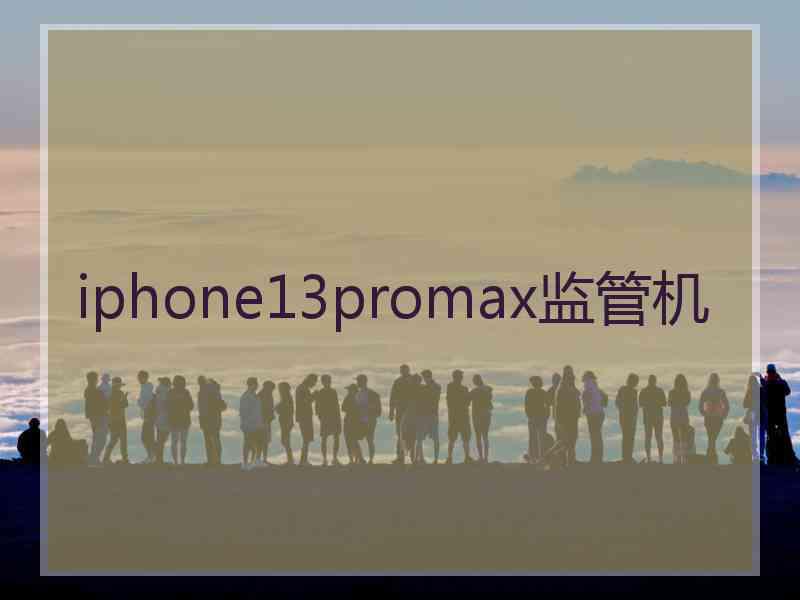 iphone13promax监管机