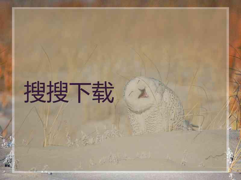 搜搜下载