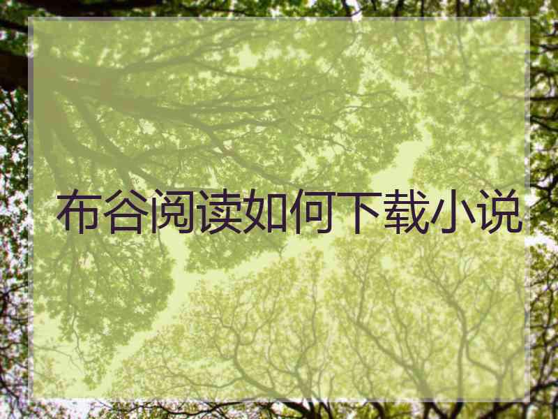 布谷阅读如何下载小说