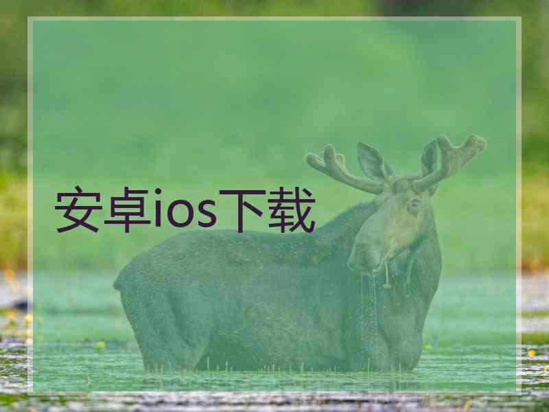 安卓ios下载