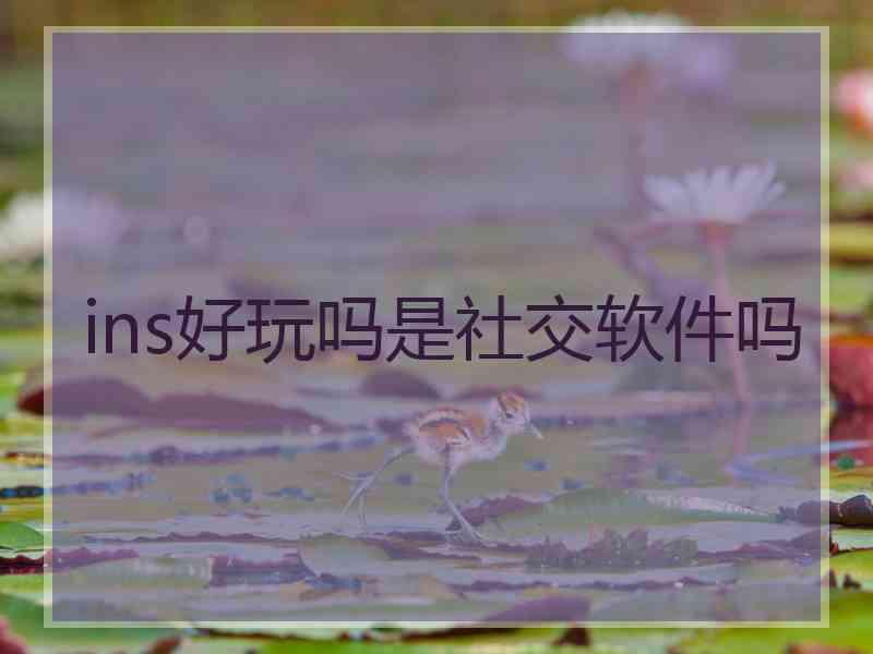 ins好玩吗是社交软件吗