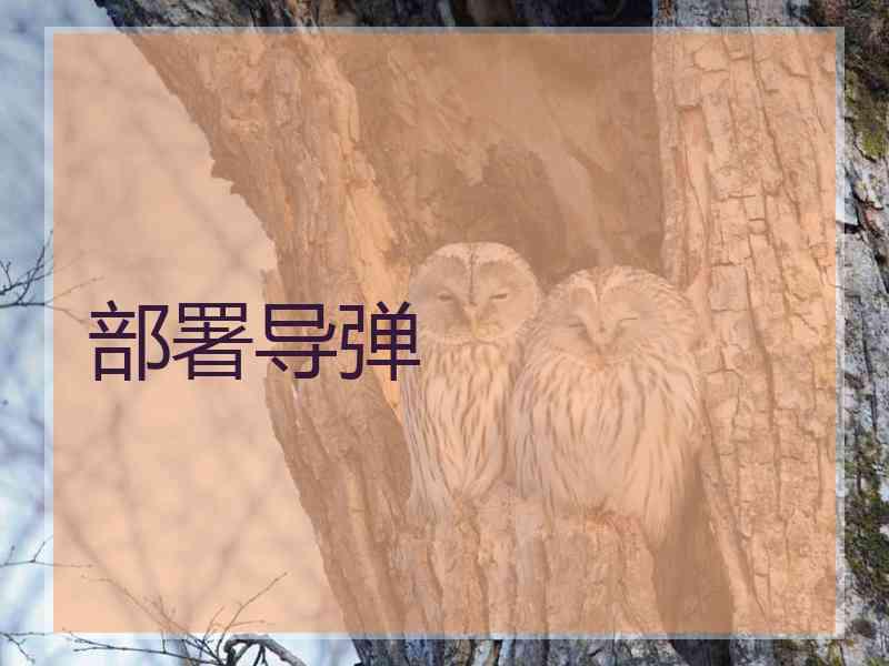 部署导弹