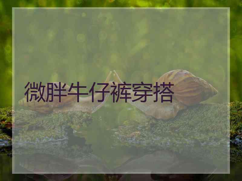 微胖牛仔裤穿搭