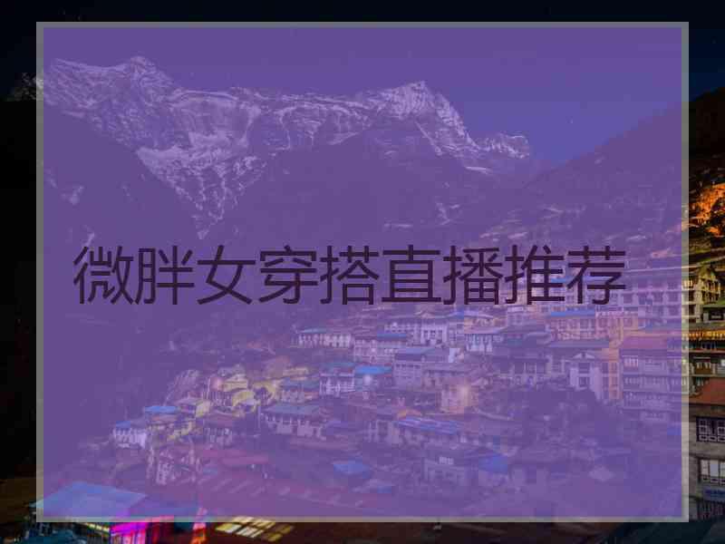 微胖女穿搭直播推荐