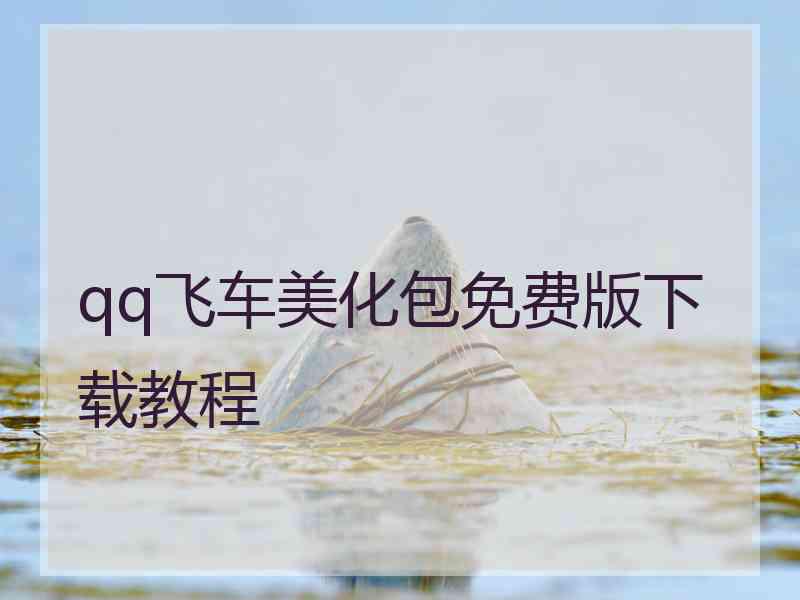 qq飞车美化包免费版下载教程