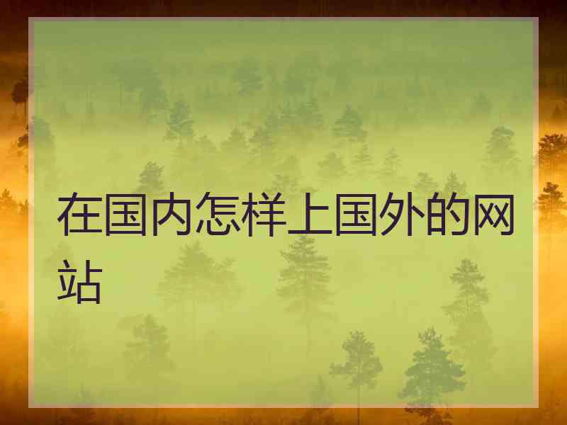 在国内怎样上国外的网站
