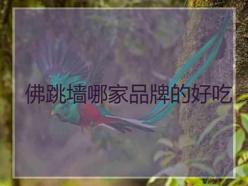 佛跳墙哪家品牌的好吃