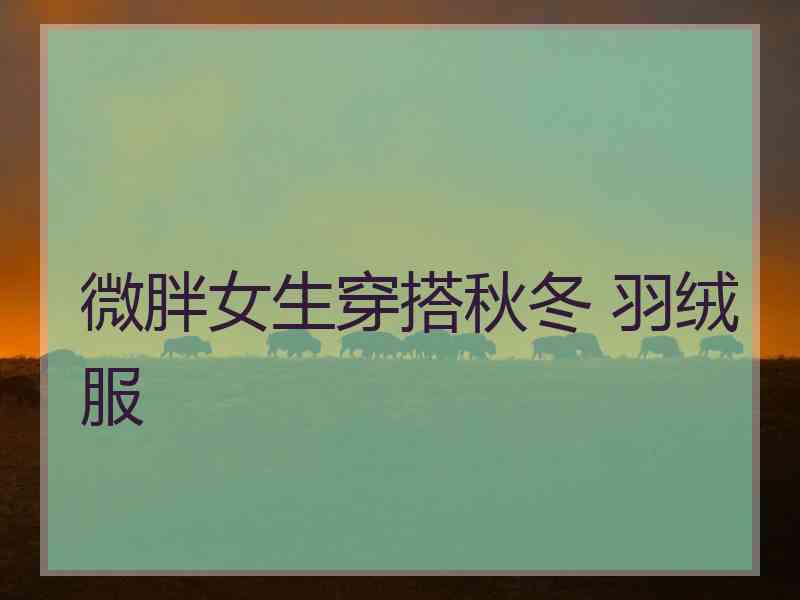 微胖女生穿搭秋冬 羽绒服
